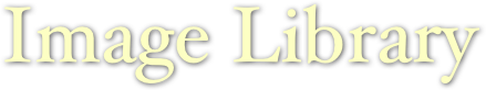 Image Library
