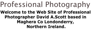 Professional Photography
Welcome to the Web Site of Professional Photographer David A.Scott based in Maghera Co Londonderry,
 Northern Ireland.

 